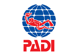 PADI Freediver in UAE